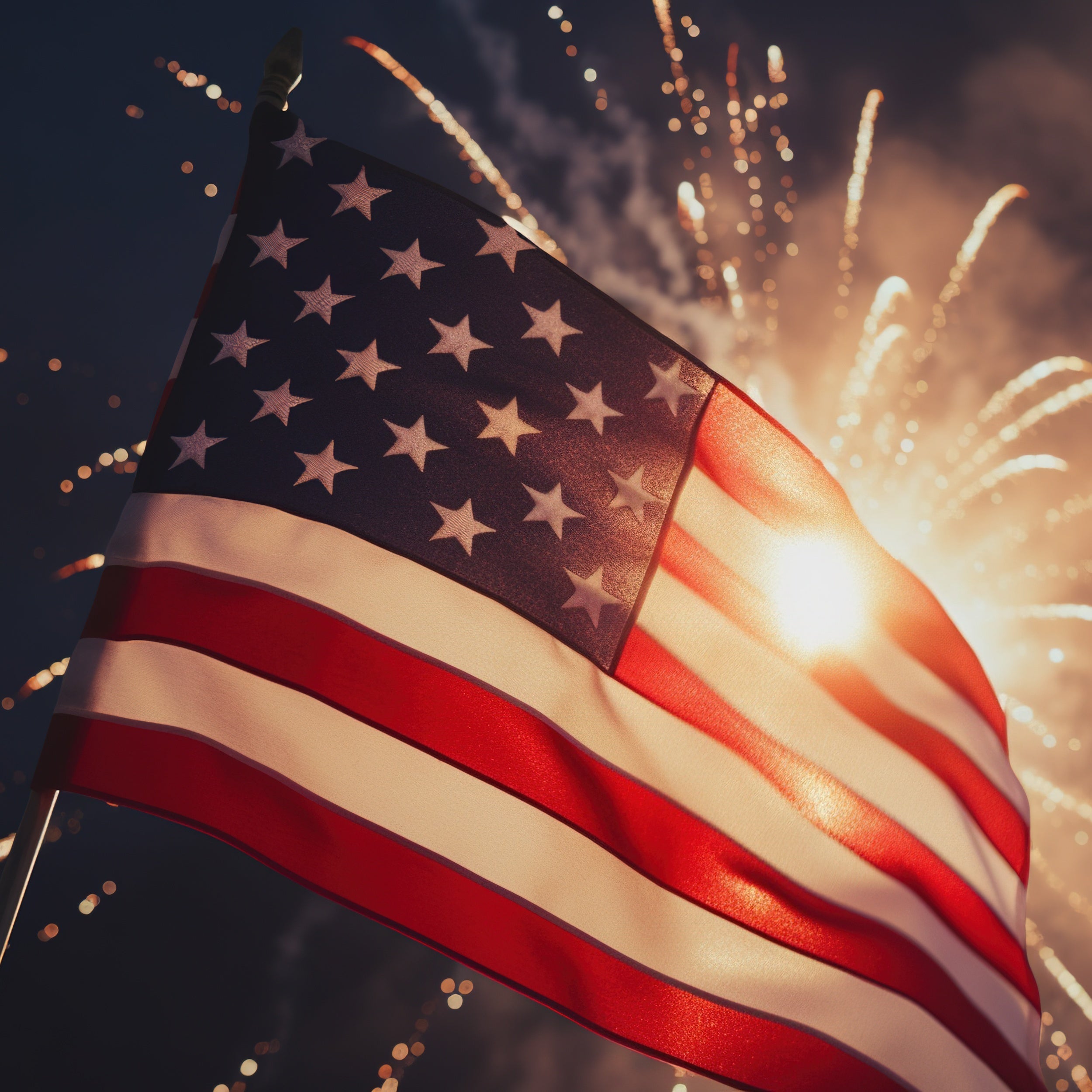 Patriotic Art * Grade 1-8 * July 13-17 PM (8002)
