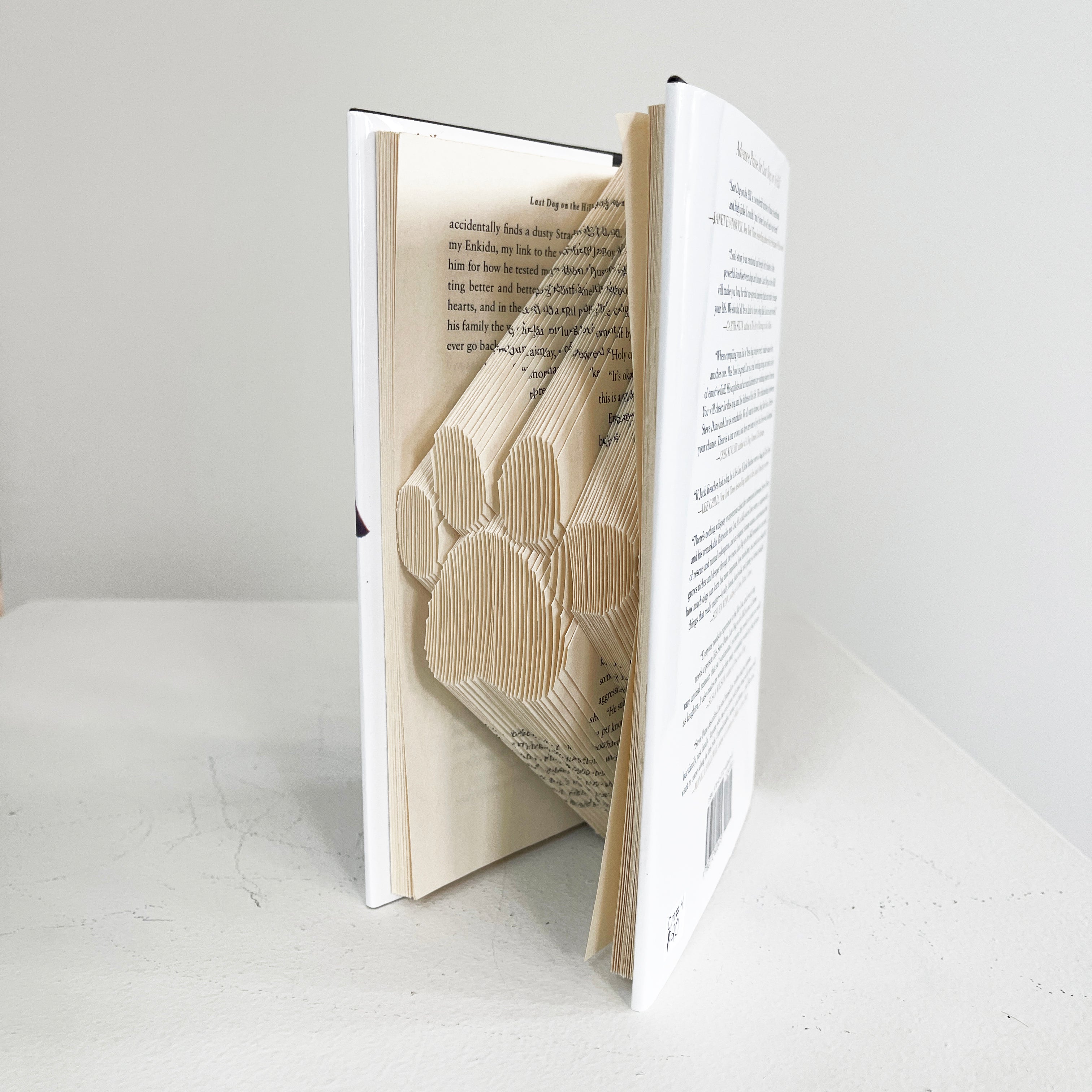 Paws on the Page • Folded Book Sculpture