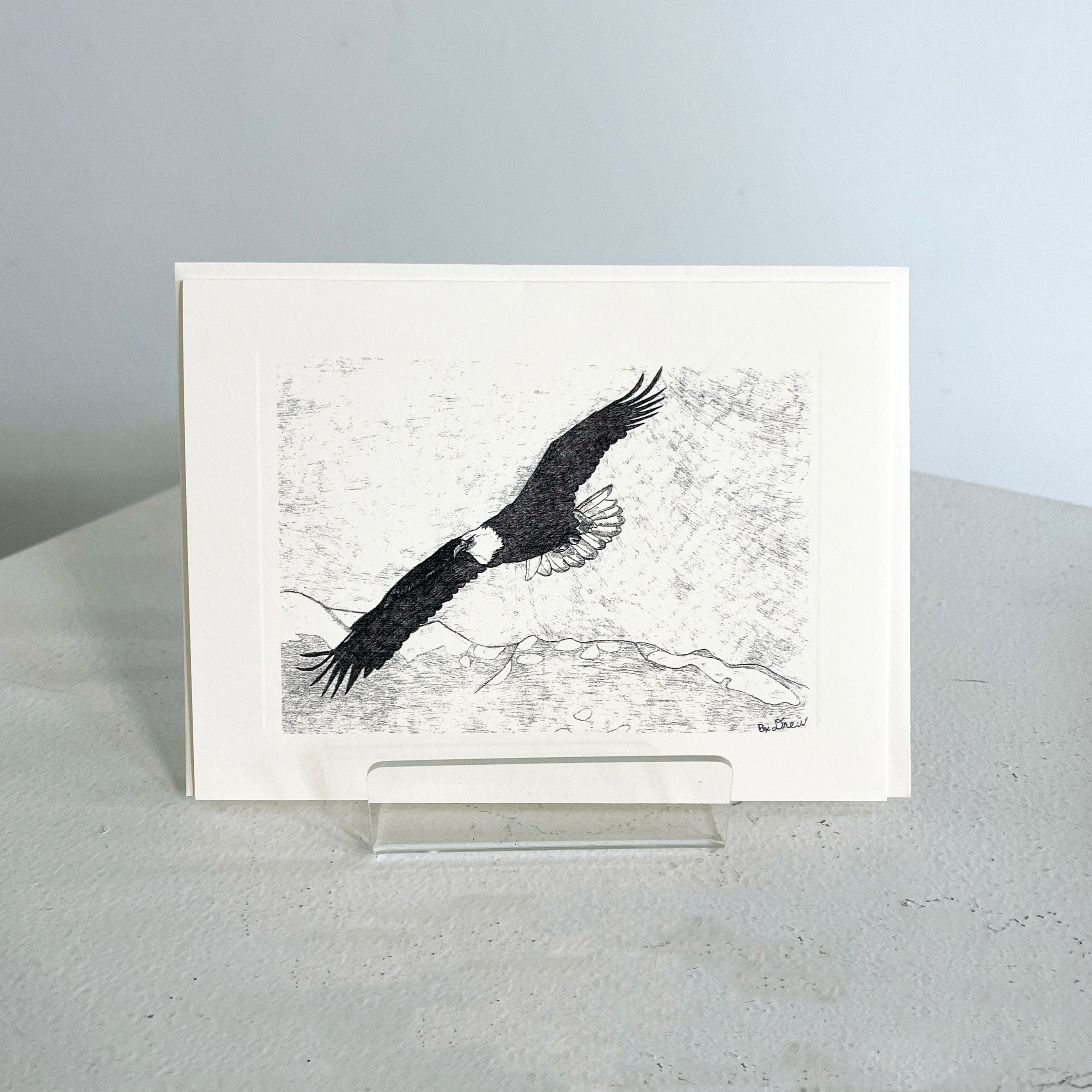 Nature & Life Illustrated: The Art of Andrew Crawley Price