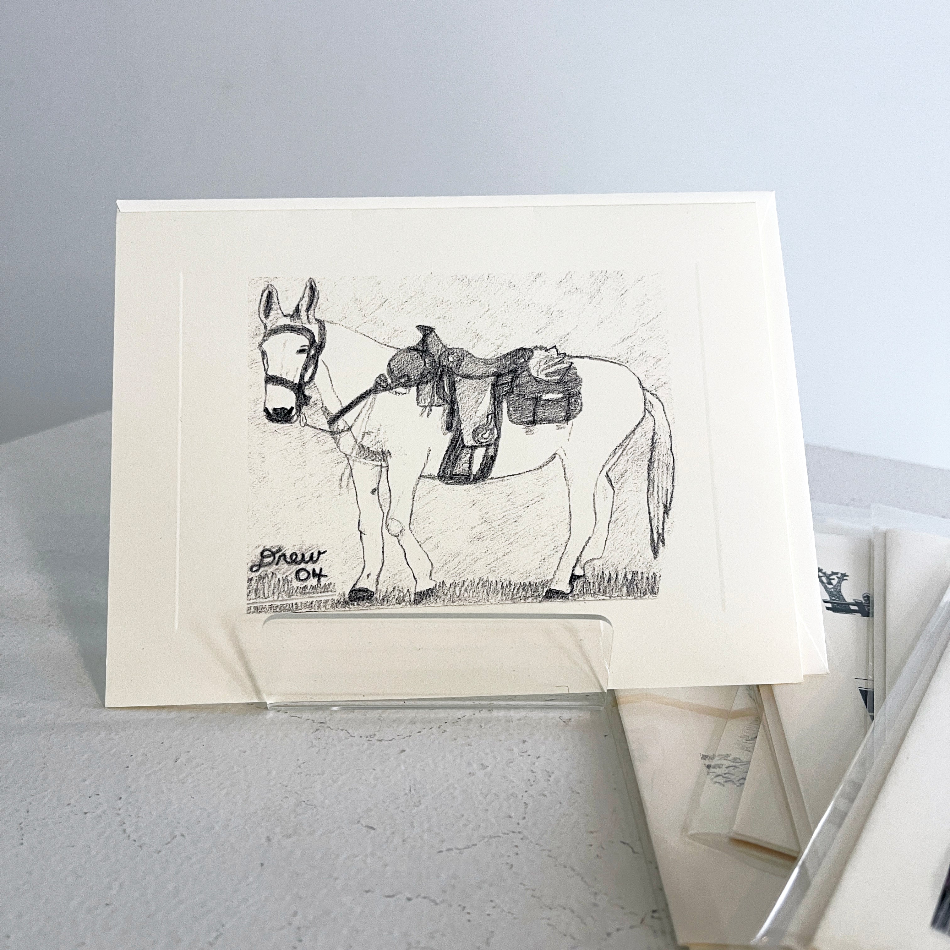 Nature & Life Illustrated: The Art of Andrew Crawley Price